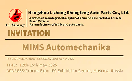 Hangzhou Lizhong Shengteng Automotive Parts Co., Ltd.